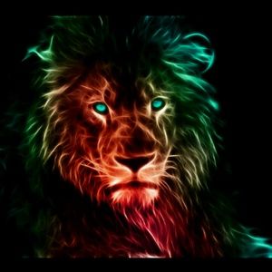 Meet your Posher, Markus